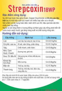 http://sieuthiphanthuoc.org/wp-content/uploads/2017/05/STREPCOXIN-18WP-HƯỚNG-DẪN-SỬ-DỤNG.jpg