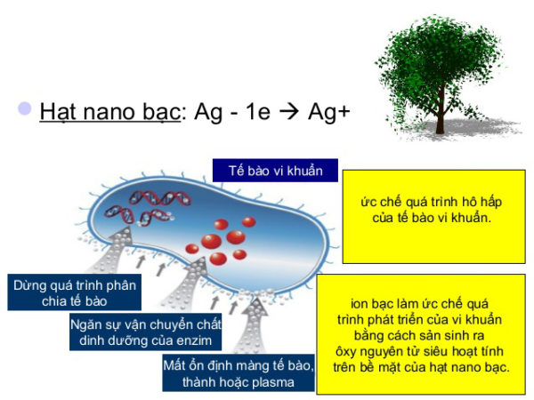 http://sieuthiphanthuoc.org/wp-content/uploads/2017/09/nano-tan-cong-vi-khuan-1-600x450.jpg