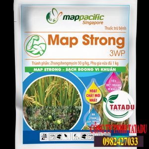 MAP-STRONG-3WP