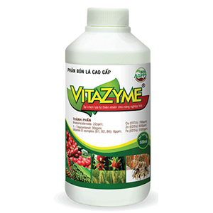 Vitazyme-1